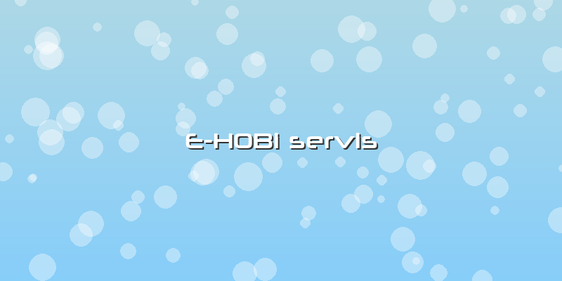E-HOBi Servis