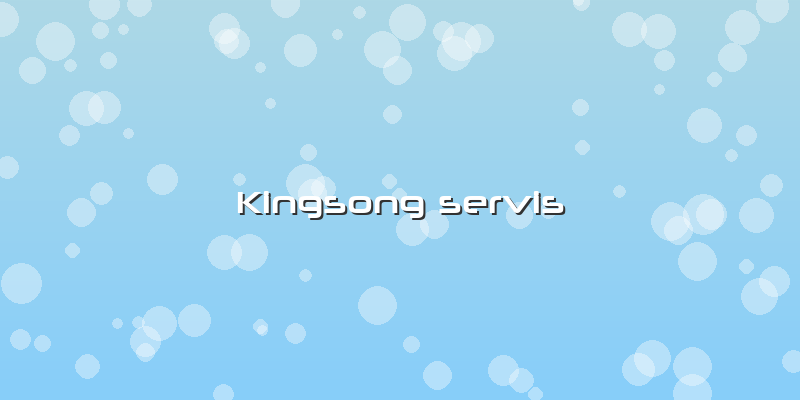 Kingsong Servis